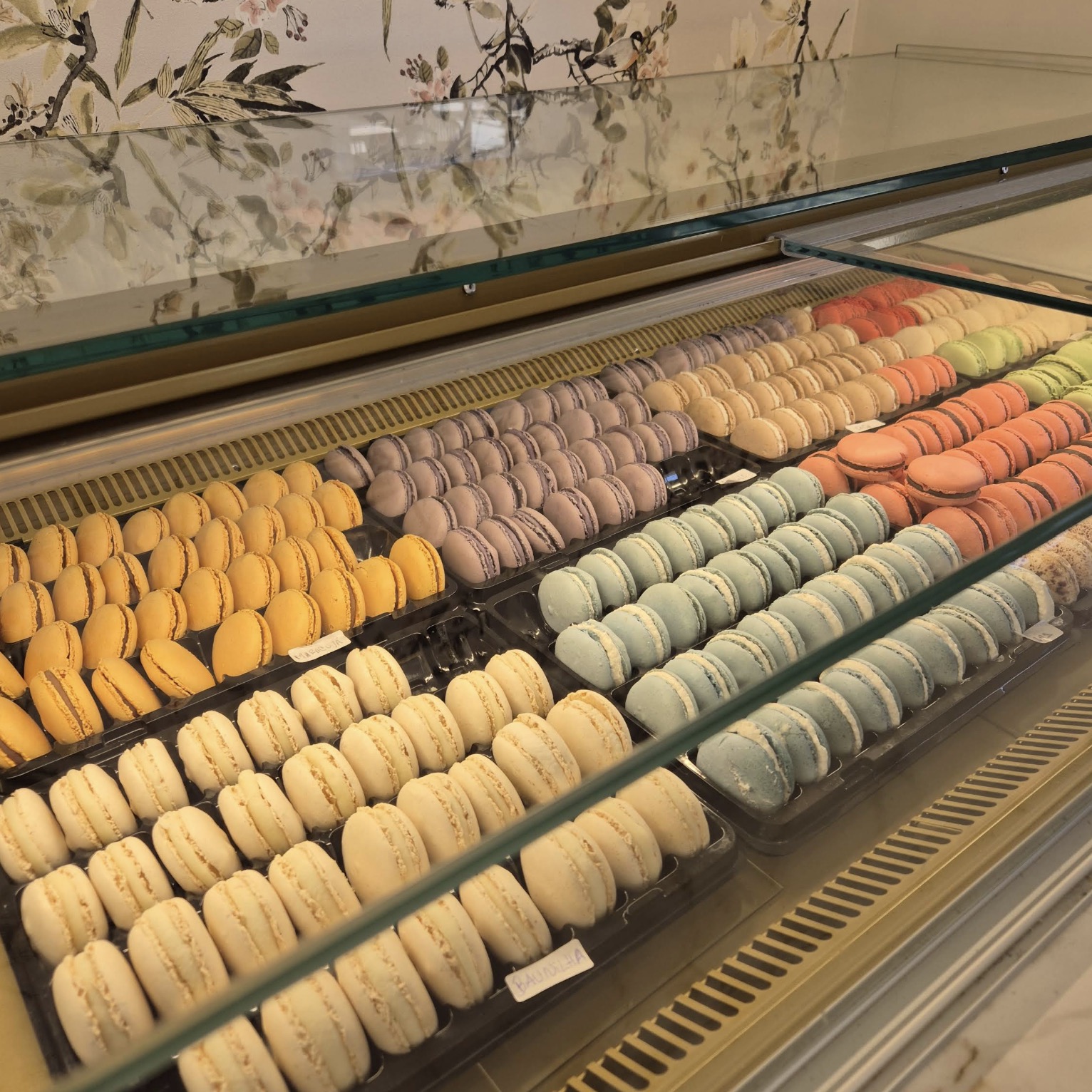 Filas de macarons coloridos no expositor